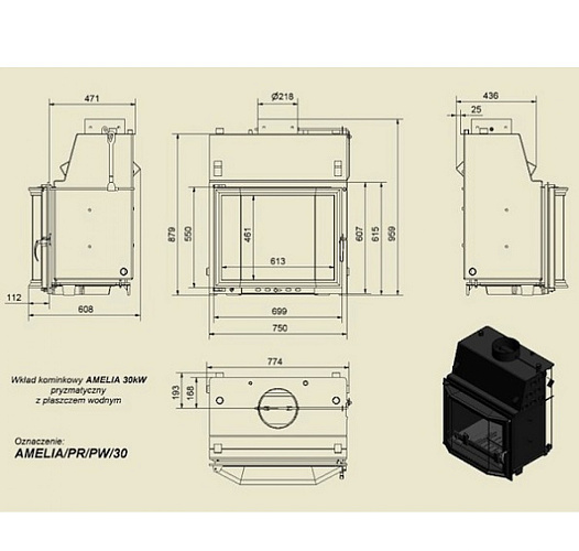 Каминная топка Amelia/PR/PW/30 с водяным контуром_1